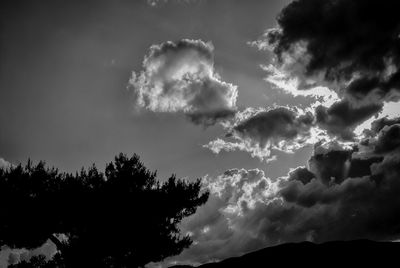 Low angle view of silhouette trees against sky