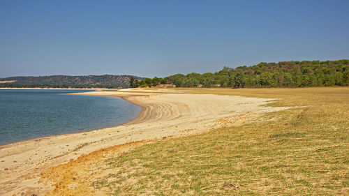 Scenic view of beach against clear blue sky