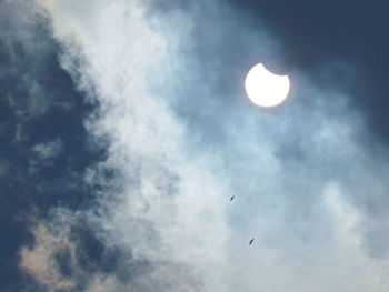 Low angle view of birds flying against sky