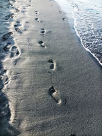 High angle view of footprints at beach