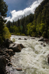 Stream flowing through rocks in forest against sky