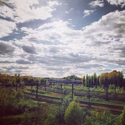 Scenic view of field against sky