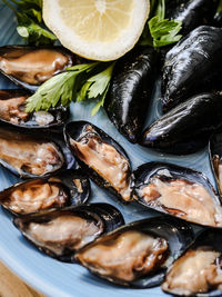 Close-up of food in plate
