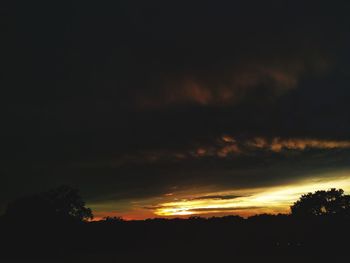 Silhouette trees against sky at sunset