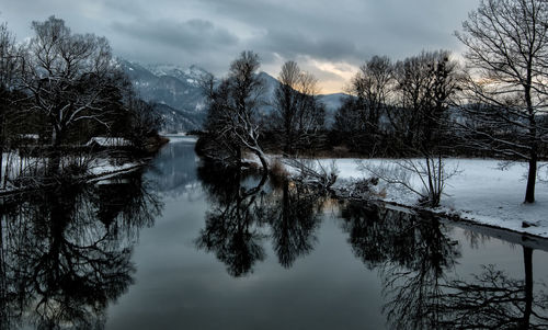 Reflection of trees in lake against sky