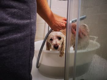 Midsection of man holding dog in bathroom