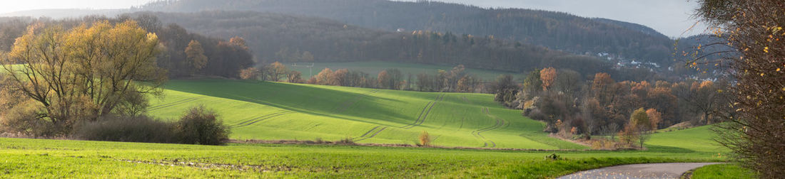 Scenic view of rural landscape
