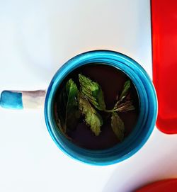 Directly above shot of green tea cup on table