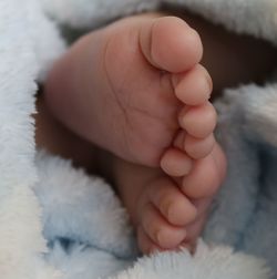 Low section of newborn baby feet wrapped in blanket