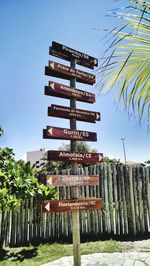 Low angle view of trees against blue sky