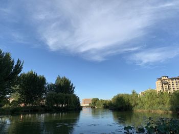 Scenic view of lake by trees against sky