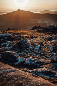 Scenic view of landscape during sunset