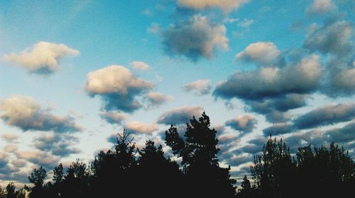 Low angle view of trees against cloudy sky