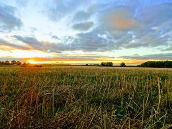 Scenic view of field against sky during sunset