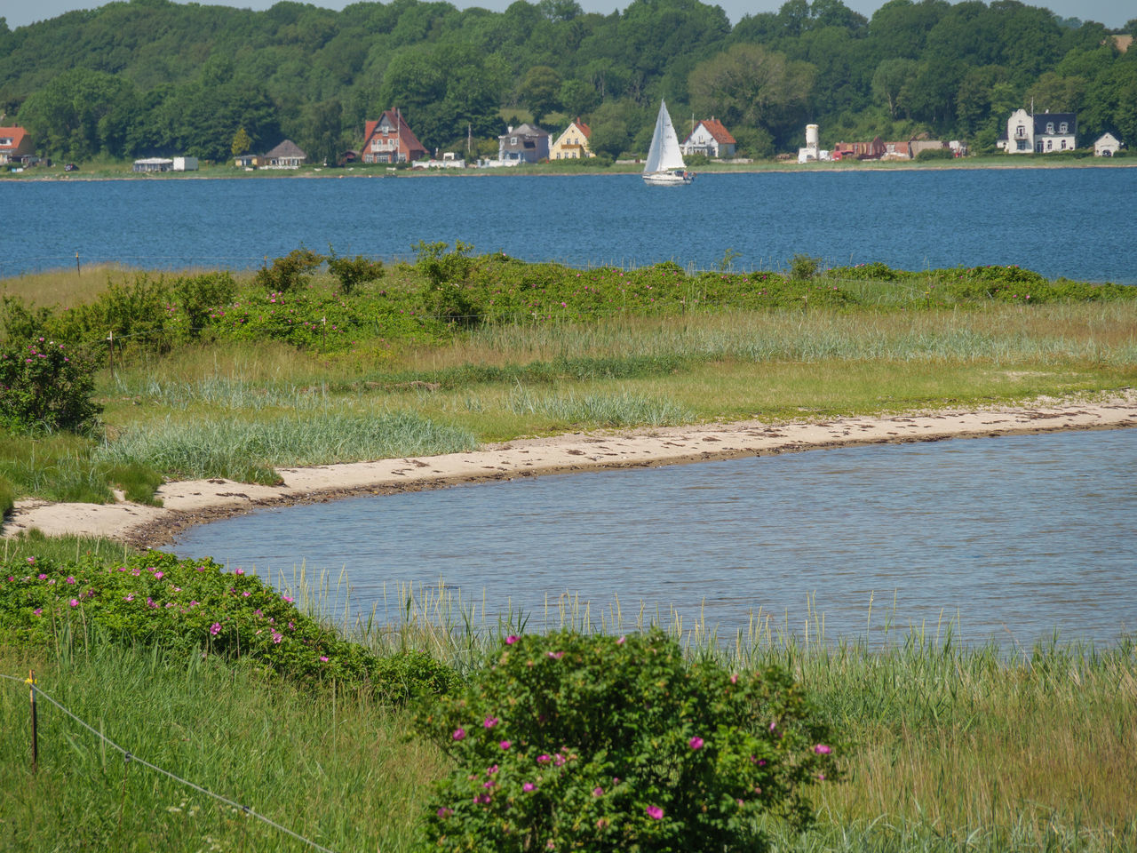 SCENIC VIEW OF GRASSY FIELD BY WATER