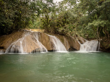 Scenic view of waterfall in forest