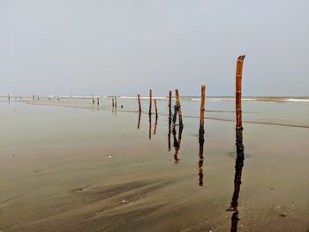 Wooden posts on beach against clear sky