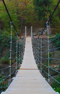 Footbridge amidst trees in forest