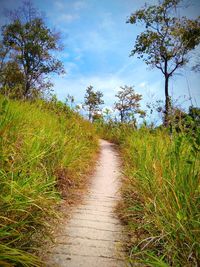 Footpath amidst plants and trees against sky