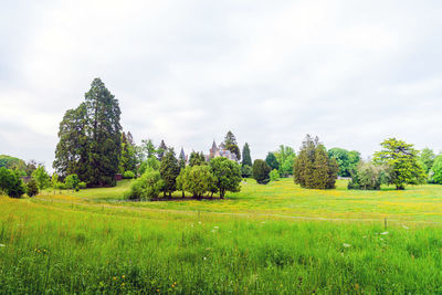 Trees on field against sky