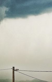 Low angle view of power lines against sky