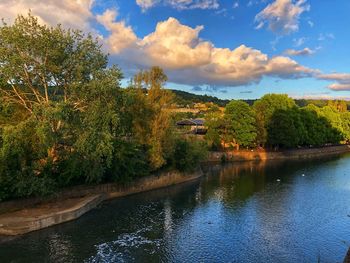 Scenic view of river by trees against sky