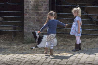 Siblings standing in front of brick wall