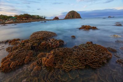 Rocks on beach against sky