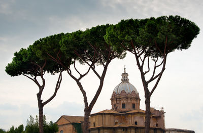 Low angle view of trees and building against sky