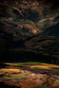 Scenic view of agricultural field at night