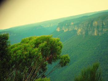 Scenic view of landscape against clear sky