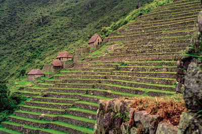 Agricultural terraces on a cliff slope and houses in the ancient inca city of machu picchu, in peru.