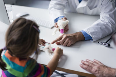 Doctor explaining tooth model to girl at desk in medical practice