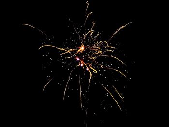 Firework display against sky at night