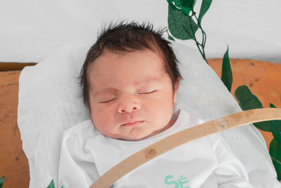 Beautiful newborn baby sleeping in bamboo fiber basket and surrounded by green leaves.