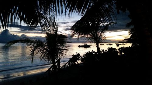 Silhouette palm trees by sea against sky at sunset