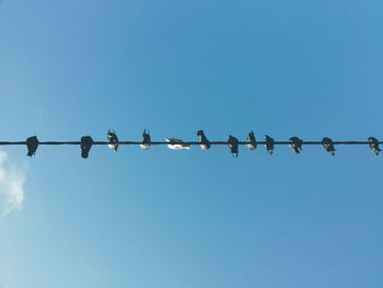 Directly below view of pigeons perching on cable against sky