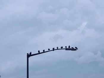 Low angle view of birds perching on the sky