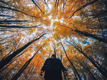 Low angle view of man standing amidst trees in forest during autumn