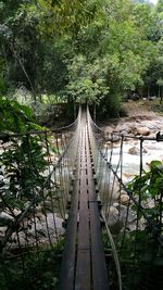 Footbridge over river in forest