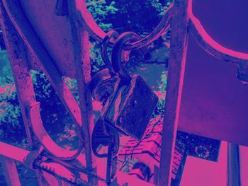 Close up of red leaves