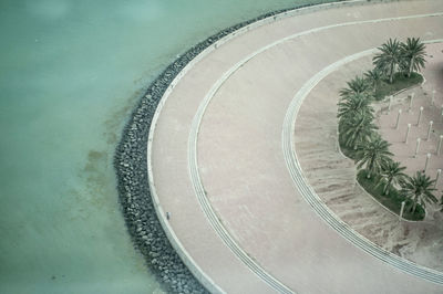  high angle view of  curved waterfront with palm trees.