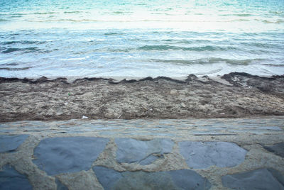 Close-up of sea shore