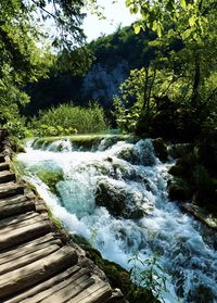 Scenic view of waterfall in forest