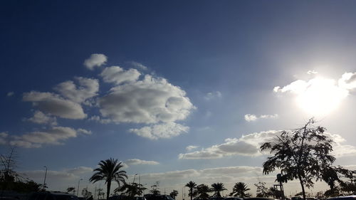 Low angle view of trees against sky