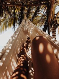 Low section of woman relaxing in hammock