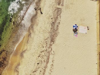 High angle view of people on beach