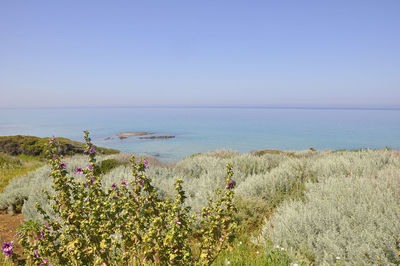 Scenic view of sea against clear sky