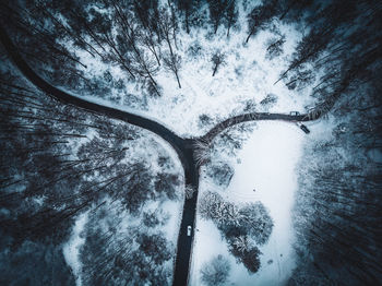 Snow covered road amidst trees in forest