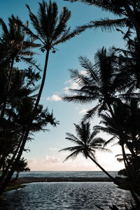 Scenic view of sea against sky and palm trees 